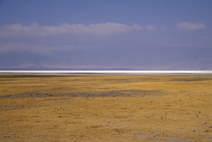 Photograph of Africa Open Spaces
