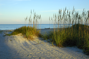 Photograph of Sanibel Island Beach