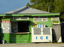 Photograph of Florida Bait Shack