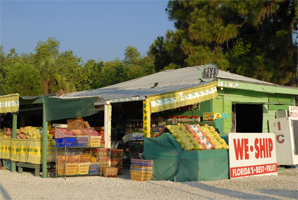 Photograph of Florida Fruit Stand