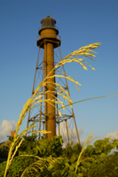 Photograph of Sanibel Island Lighthouse