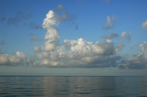 Photograph of Sanibel Island Beach