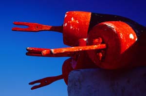 Photograph of Orange Bouys in Camden Maine