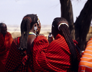 Photograph of Africa Maasi