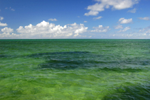 Photograph of Andros 