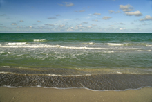 Photograph of Sanibel Island