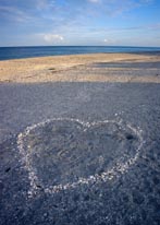 Photograph of captiva Island