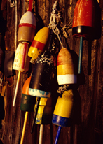 Photograph of Bouys