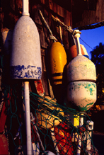 Photograph of Bouys