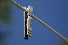 Photograph of Clothes Pin