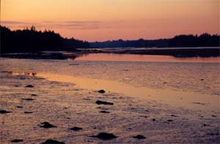 Photograph of Millbridge, Maine