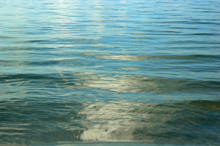 Photograph of Sanibel Island, FL