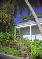 Photograph of Key West