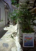 Photograph of Skopelos, Greece