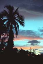 Photograph of Sanibel Island, FL