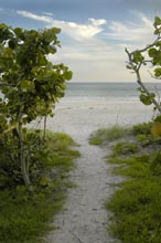 Photograph of Sanibel Island, FL