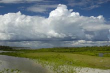 Photograph of Sanibel Island, FL