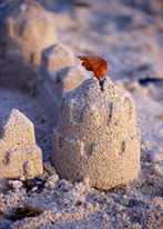 Photograph of Sanibel Island, FL
