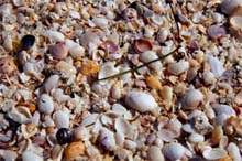 Photograph of Sanibel Island, FL