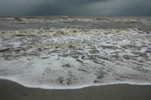 Photograph of Sanibel Island, FL