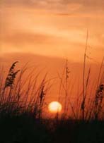 Photograph of Sanibel Island, FL