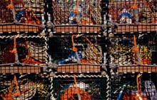 Photograph of Bernard, Maine