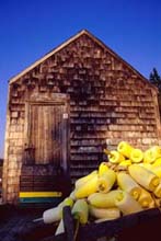 Photograph of Port Clyde, Maine